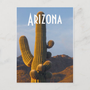 Arizona Sunlit Saguaro Postcard