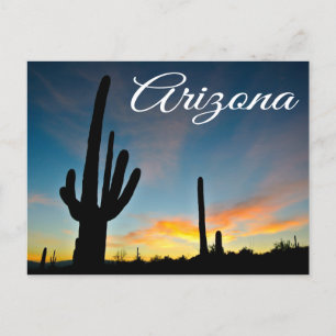 Arizona Sunrise Cactus & Desert Travel  Postcard