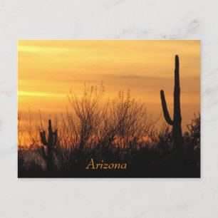 Arizona Sunset-3 Postcard