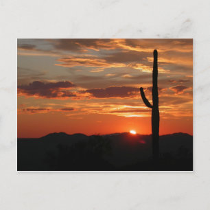 Arizona Sunset--Breathtaking Postcard