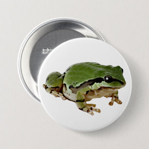 Arizona Tree Frog Close-Up Photograph 7.5 Cm Round Badge