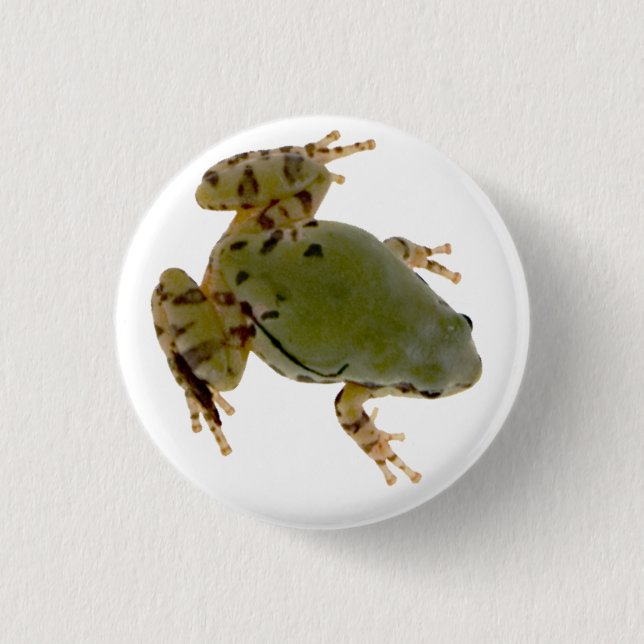 Arizona Tree Frog Photograph 3 Cm Round Badge (Front)