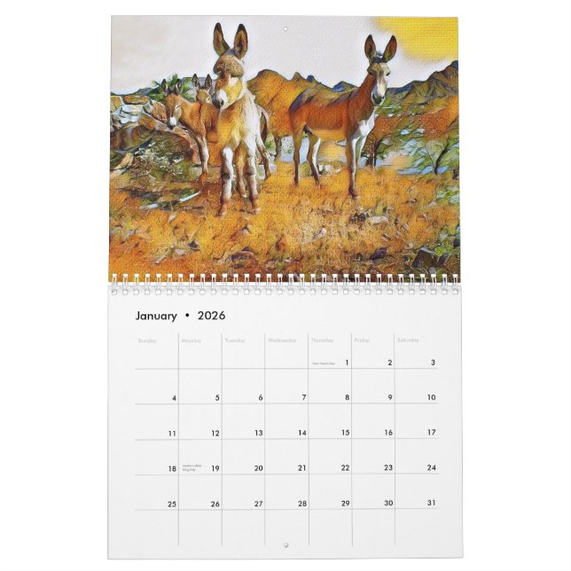 Arizona Wild Burro 2022 Calendar (Jan 2026)