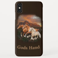 Arizona Wild horses