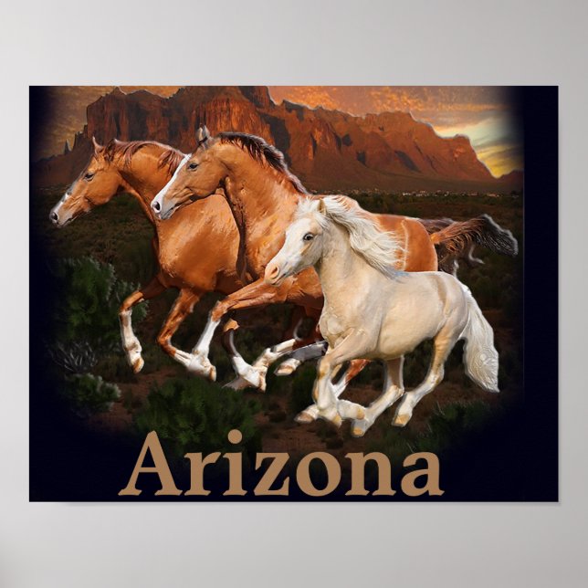 Arizona Wild Horses Poster (Front)