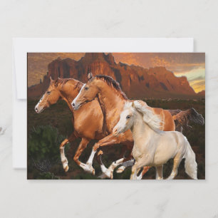 Arizona Wild horses Thank You Card