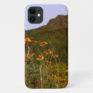 Arizona Wildflowers in the Desert iPhone 11 Case