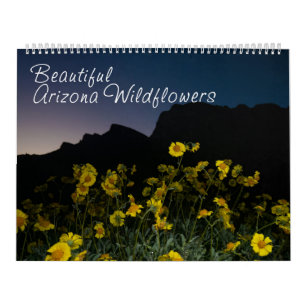Arizona Wildflowers large two page calendar