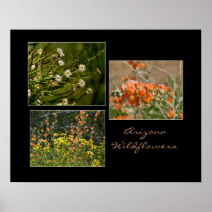 Arizona wildflowers print