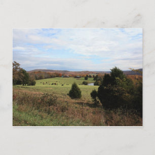 Arkansas Landscape Postcard