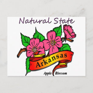 Arkansas Natural State Apple Blossom Postcard