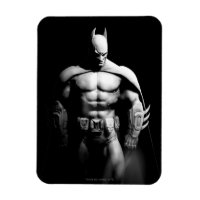 Arkham City | Batman Black and White Wide Pose