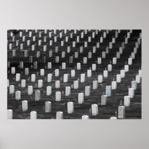 Arlington B&W Colour Flags Poster