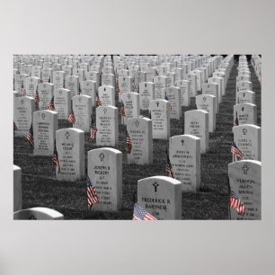 Arlington B&W Flags Colour Poster