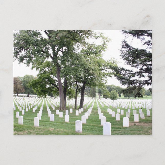 Arlington Cemetry Postcard (Front)