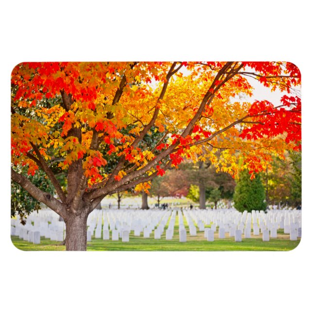 Arlington National Cemetery in Autumn Magnet (Horizontal)