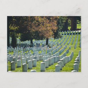 Arlington National Cemetery Postcard