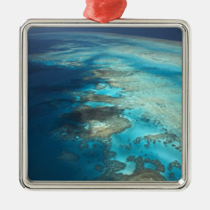 Arlington Reef, Great Barrier Reef Marine Park, Metal Tree Decoration