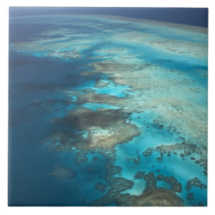Arlington Reef, Great Barrier Reef Marine Park, Tile