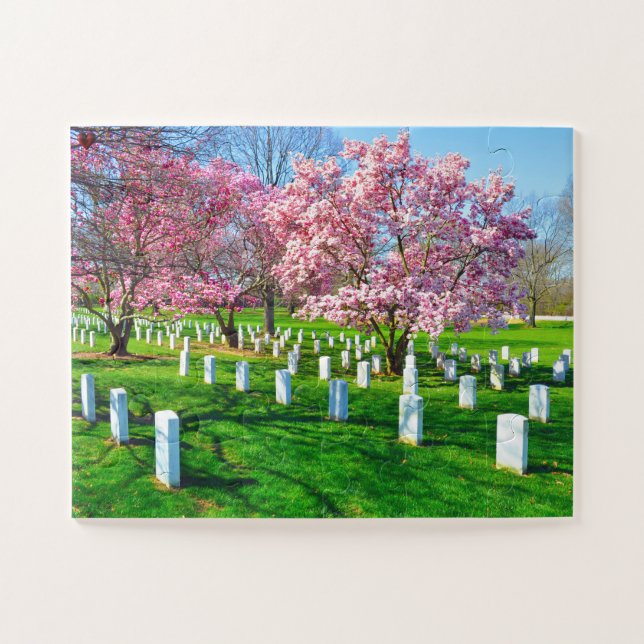 Arlington Virginia Jigsaw Puzzle (Horizontal)