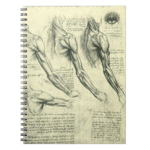Arm and Shoulder Anatomy by Leonardo da Vinci Notebook