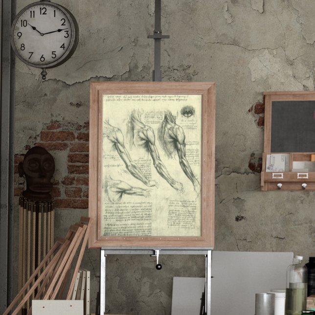 Arm and Shoulder Anatomy by Leonardo da Vinci Poster (Creator Uploaded)