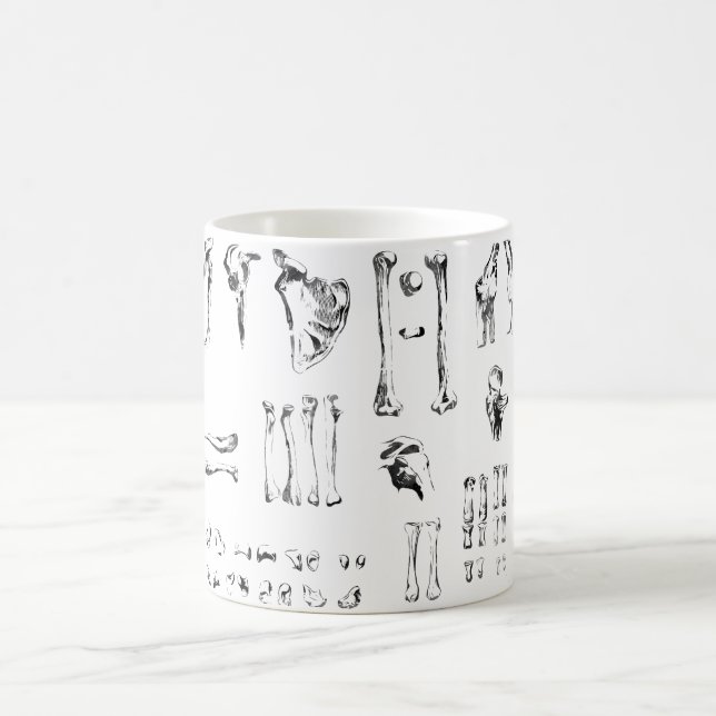 Arm,including shoulder and hand coffee mug (Center)