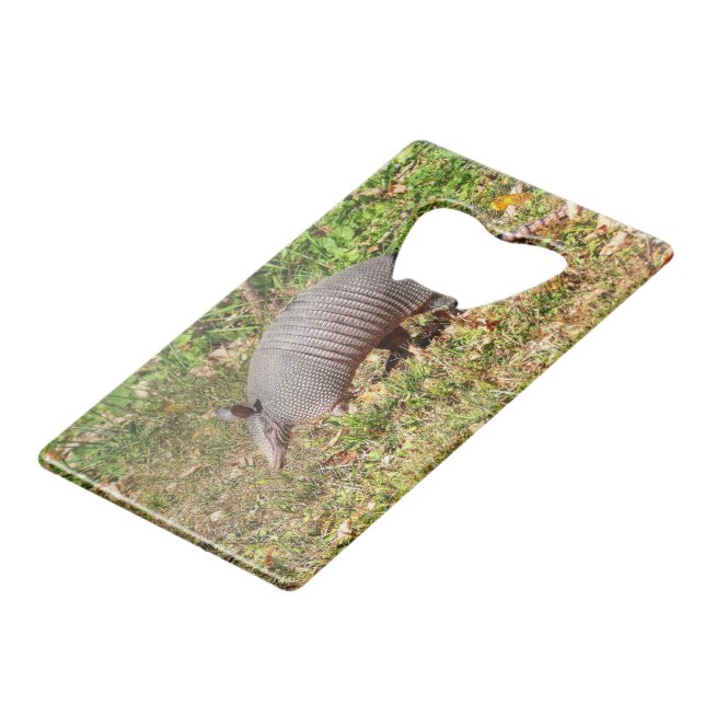 Armadillo (Front Angled)