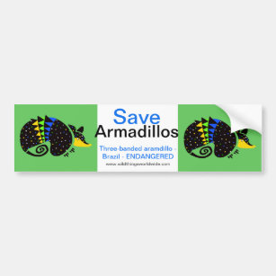 Armadillo- bumper sticker