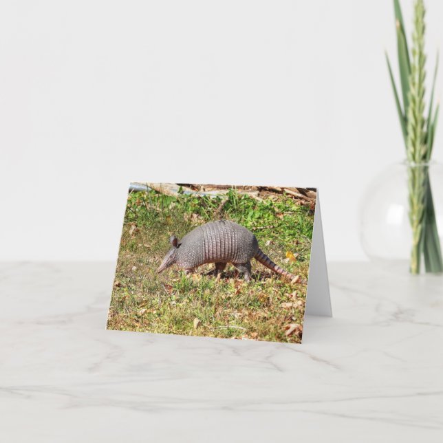 Armadillo  card (Front)