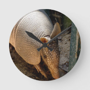 Armadillo Clock