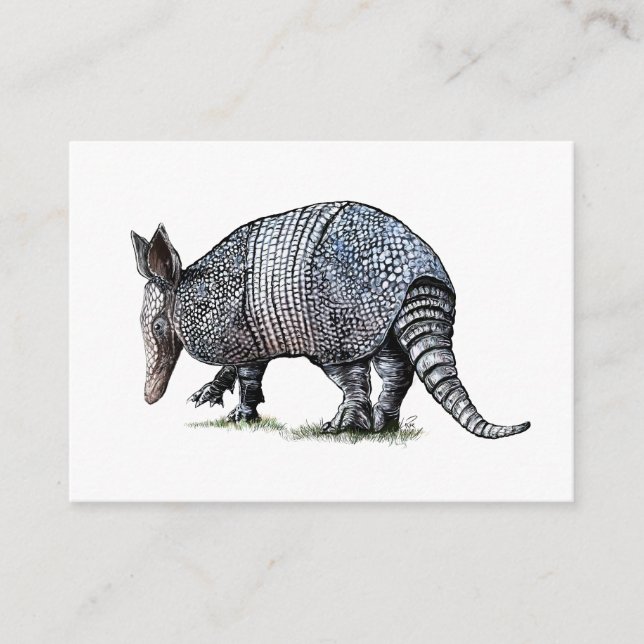 Armadillo Enclosure Card (Front)