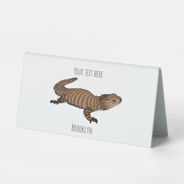 Armadillo girdled lizard cartoon illustration  (Front)