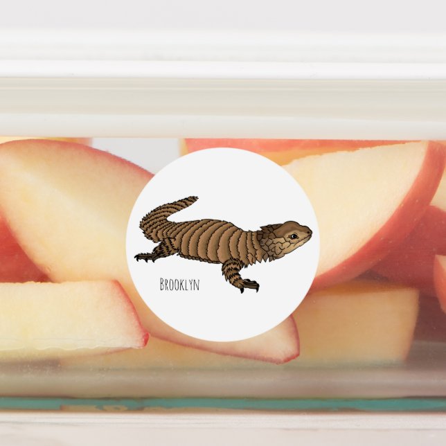 Armadillo girdled lizard cartoon illustration  (Affixed)