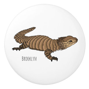 Armadillo girdled lizard cartoon illustration ceramic knob