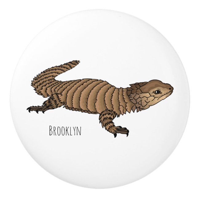 Armadillo girdled lizard cartoon illustration  ceramic knob (Front)