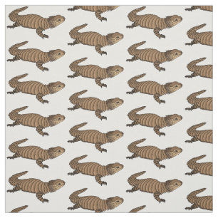 Armadillo girdled lizard cartoon illustration  fabric
