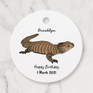 Armadillo girdled lizard cartoon illustration favour tags