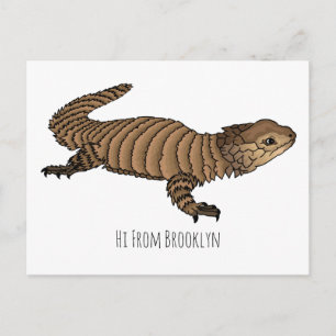 Armadillo girdled lizard cartoon illustration postcard
