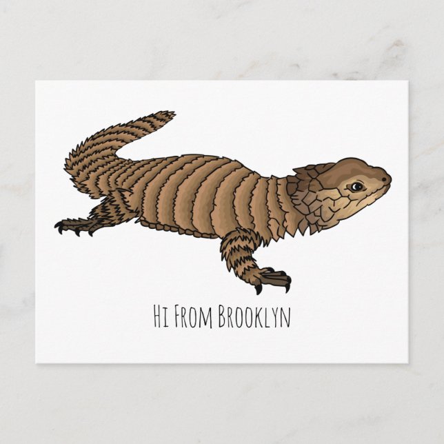 Armadillo girdled lizard cartoon illustration postcard (Front)
