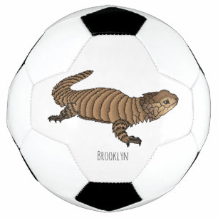 Armadillo girdled lizard cartoon illustration soccer ball
