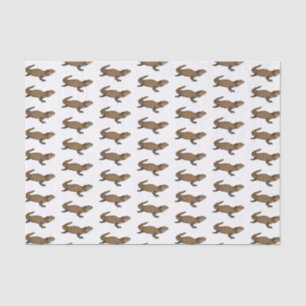 Armadillo girdled lizard cartoon illustration tissue paper