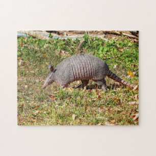 Armadillo jigsaw puzzle