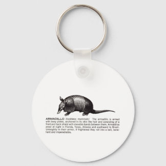 armadillo key ring