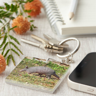 Armadillo Key Ring
