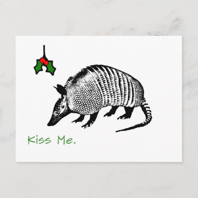 Armadillo Kiss Me Postcard (Front)