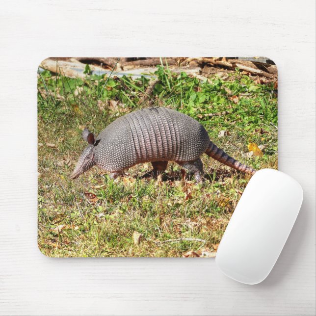 Armadillo Mouse Pad (With Mouse)
