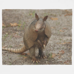 Armadillo on Large Fleece Blanket