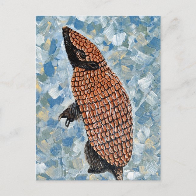 Armadillo Painting Postcard (Front)