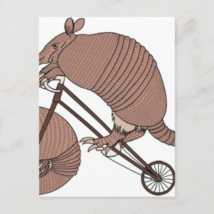 Armadillo Riding Bike With Armadillo Wheel Postcard